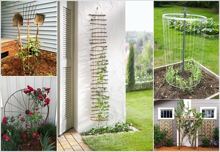 10 Easy Yet Beautiful DIY Garden Trellis Projects a