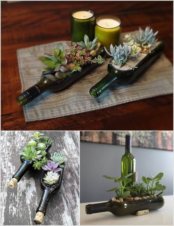 10 Cool Succulent Planter Ideas for Your Home 10