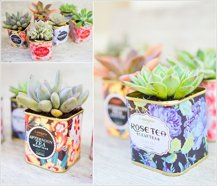 10 Cool Succulent Planter Ideas for Your Home 2