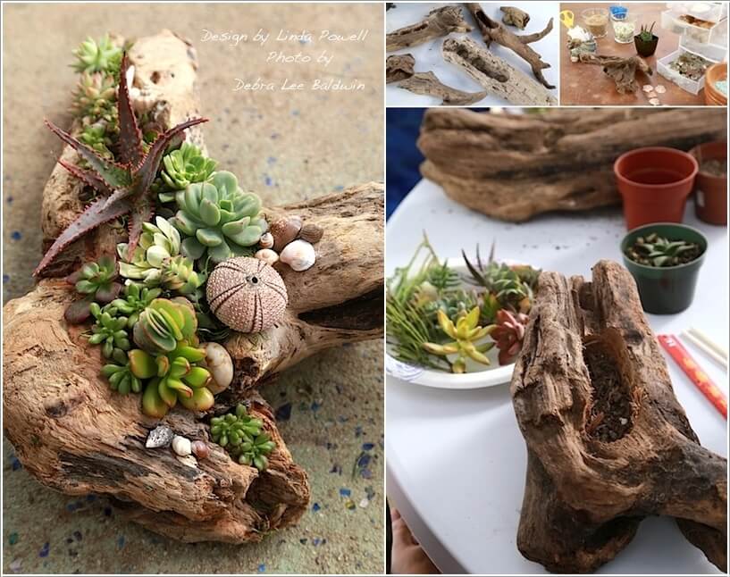 10 Cool Succulent Planter Ideas for Your Home 3