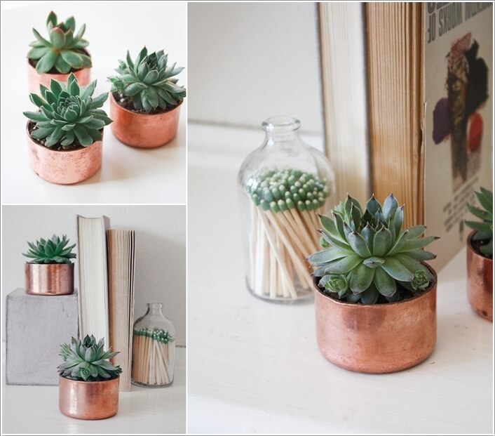 10 Cool Succulent Planter Ideas for Your Home 4