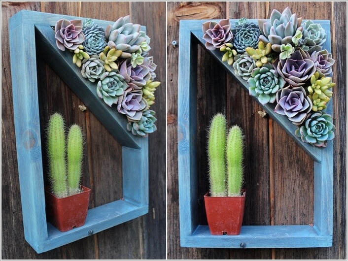 10 Cool Succulent Planter Ideas for Your Home 5
