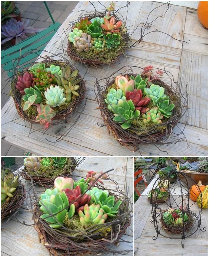 10 Cool Succulent Planter Ideas for Your Home 8