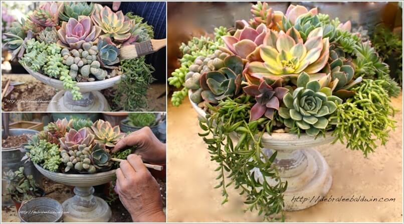 10 Cool Succulent Planter Ideas for Your Home 9