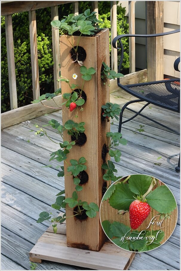 10-small-garden-ideas-for-your-balcony-10