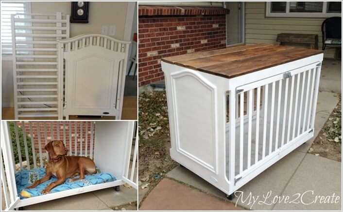 10-cool-diy-pet-projects-for-your-furry-friends-4