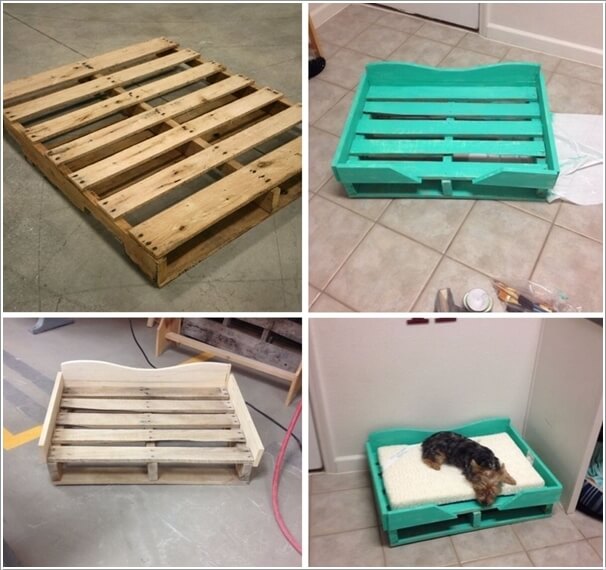 10-cool-diy-pet-projects-for-your-furry-friends-6