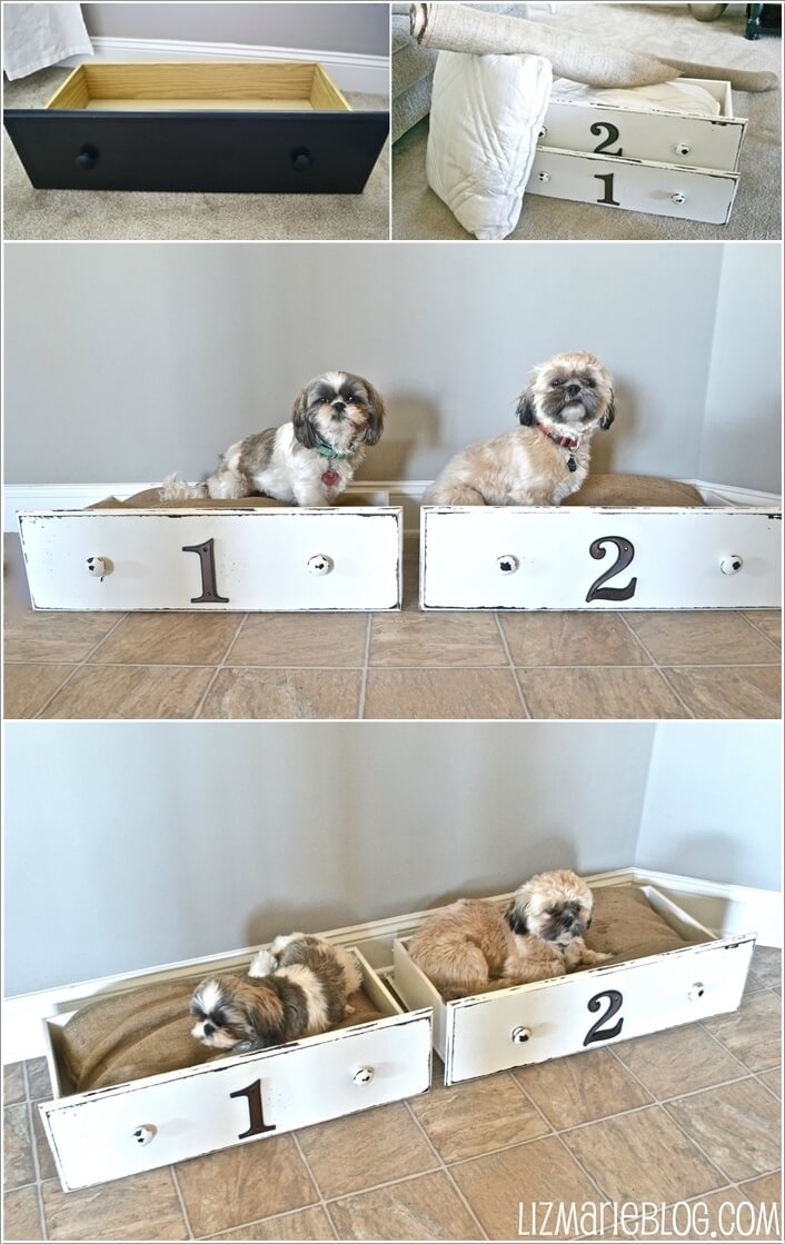 10-cool-diy-pet-projects-for-your-furry-friends-8