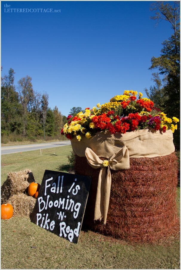 10-creative-projects-to-make-from-hay-bales-this-fall-4