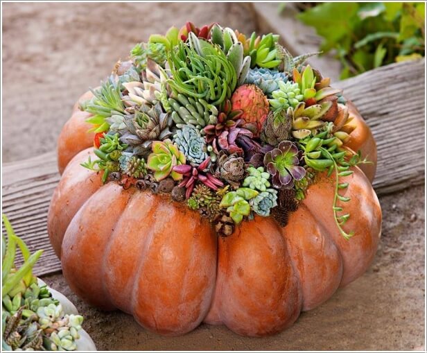 10-creative-ways-to-craft-pumpkin-centerpieces-this-fall-1