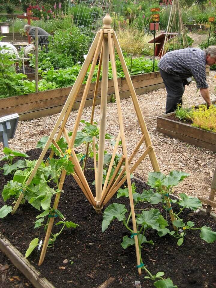 Recycled Trellis Ideas for Your Garden