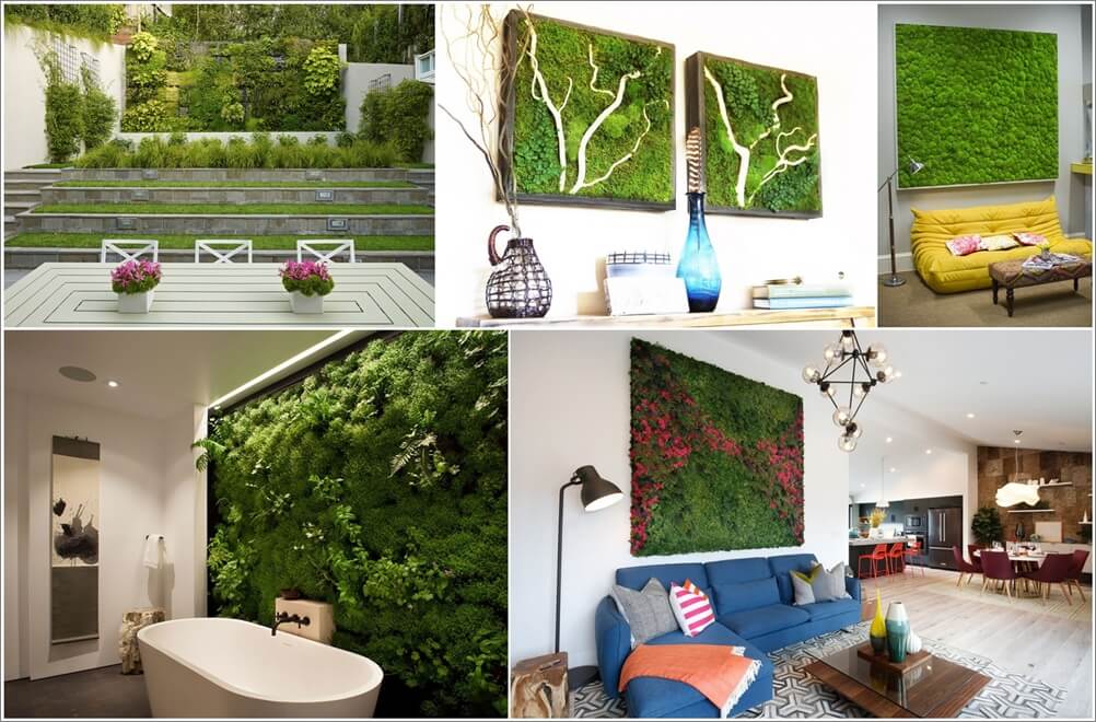 Add Vitality to Your Home with Moss Walls 