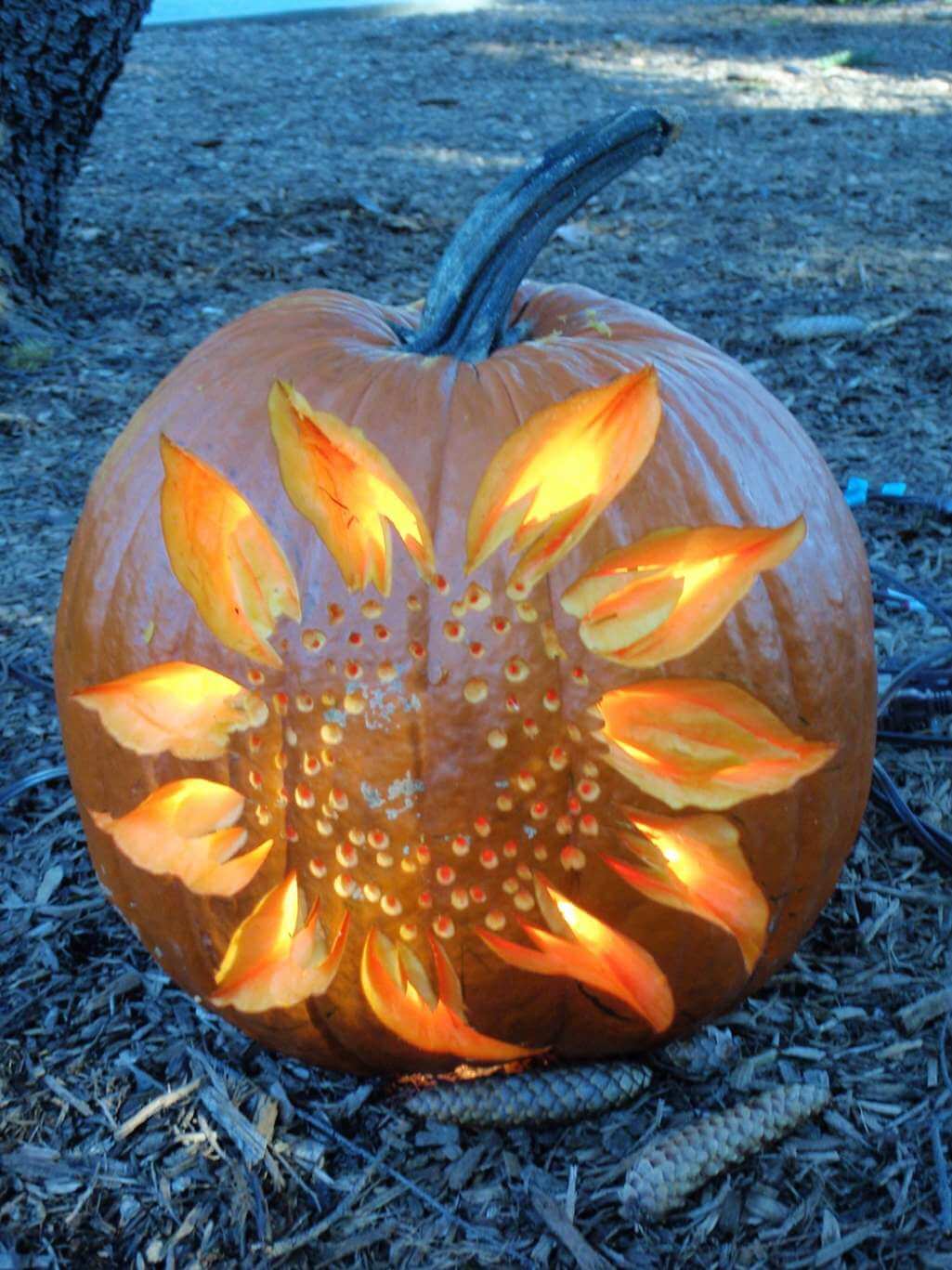 15 Unique Pumpkin Carving Ideas for Halloween