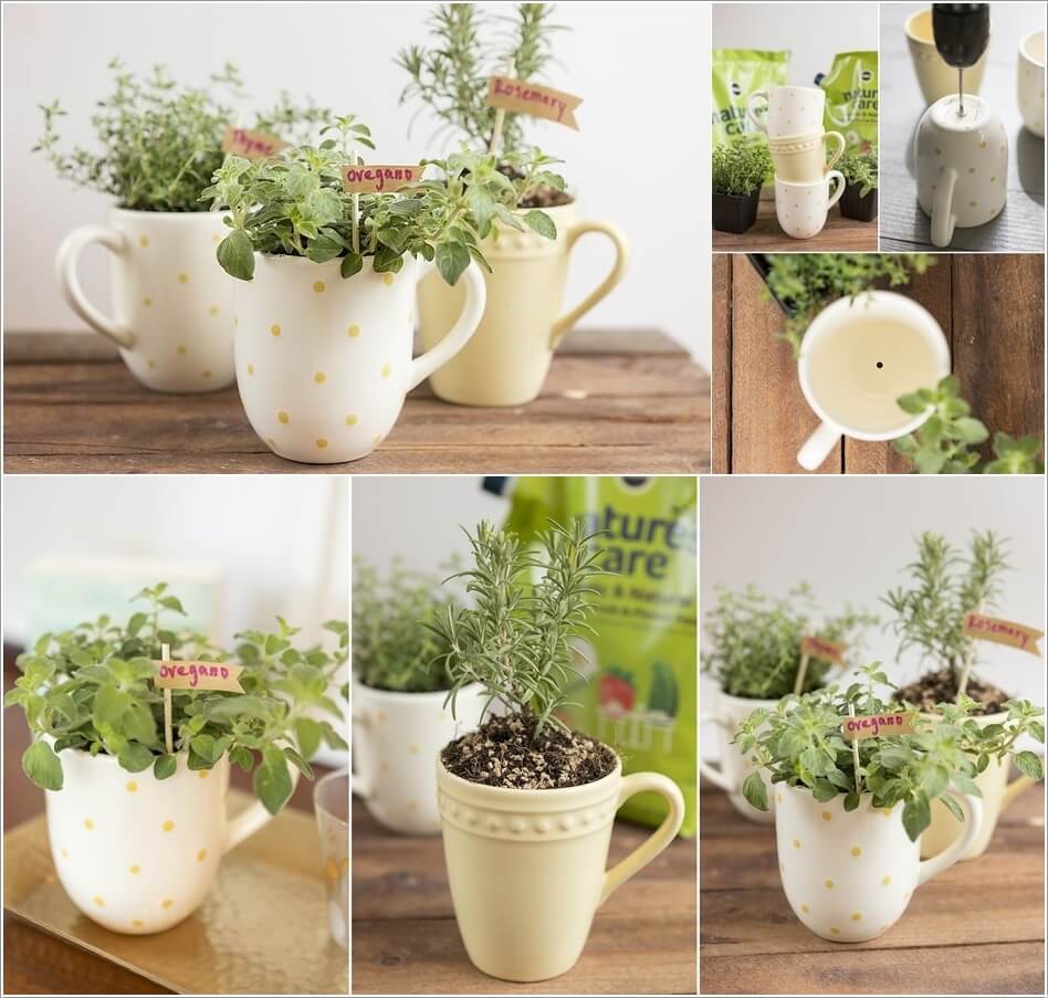 Great Kitchen Herb Garden Ideas