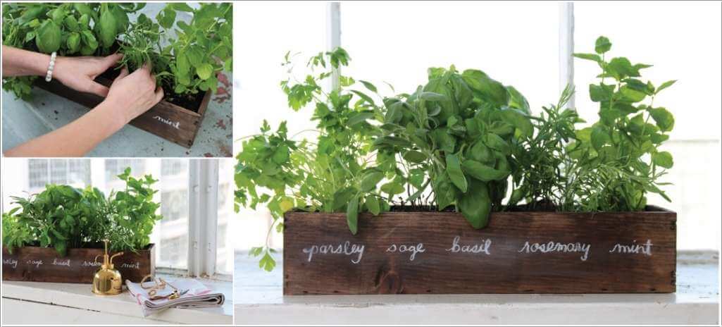 Great Kitchen Herb Garden Ideas