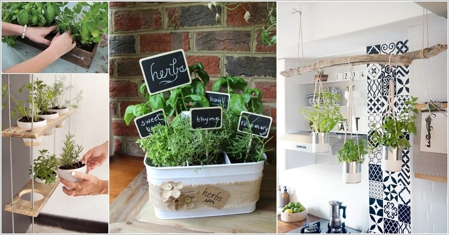 Great Kitchen Herb Garden Ideas