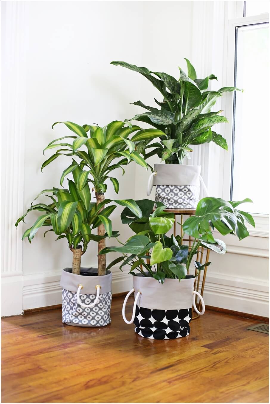 Pot Cover Ideas for Your Indoor Plants 