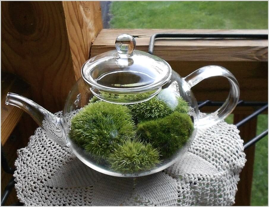 These DIY Terrariums are Simply Stunning 