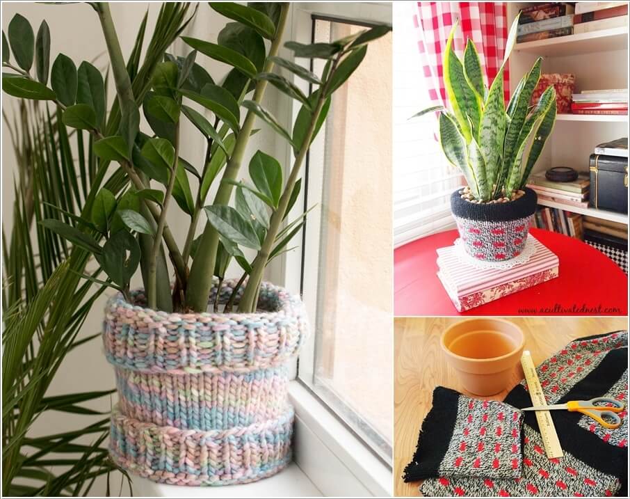 Pot Cover Ideas for Your Indoor Plants 