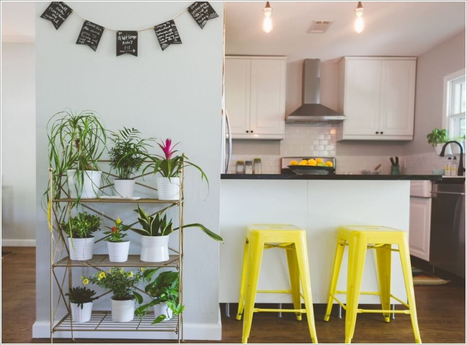 Tips for Adding Plants to a Kitchen 