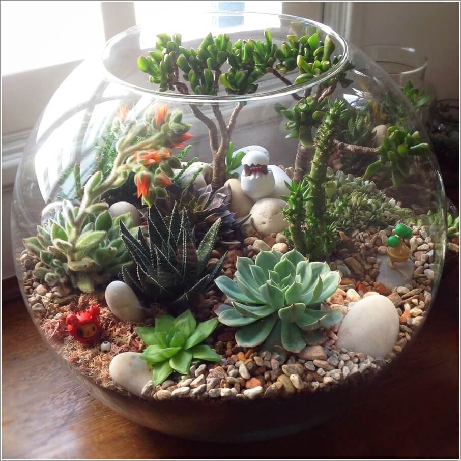 These DIY Terrariums are Simply Stunning 