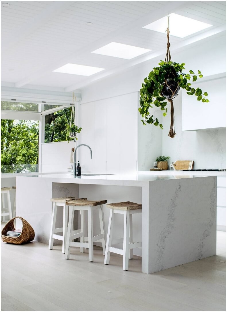 Tips for Adding Plants to a Kitchen 
