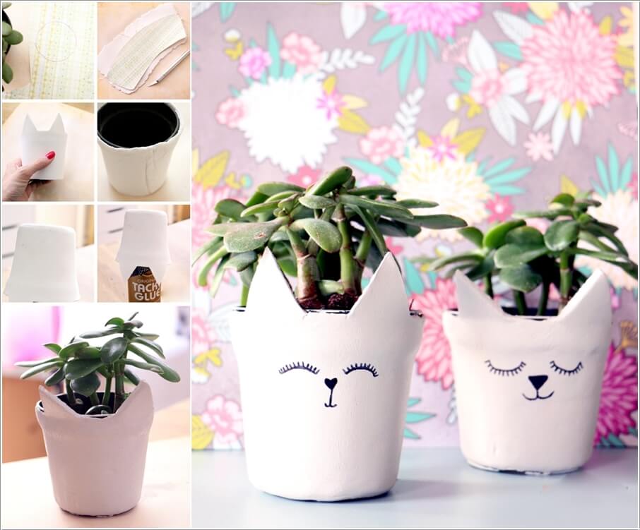 Pot Cover Ideas for Your Indoor Plants 