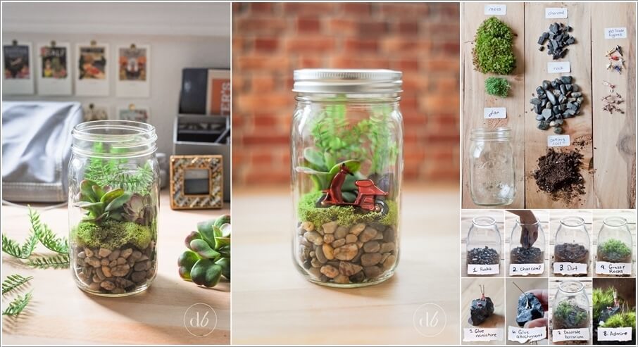 These DIY Terrariums are Simply Stunning 