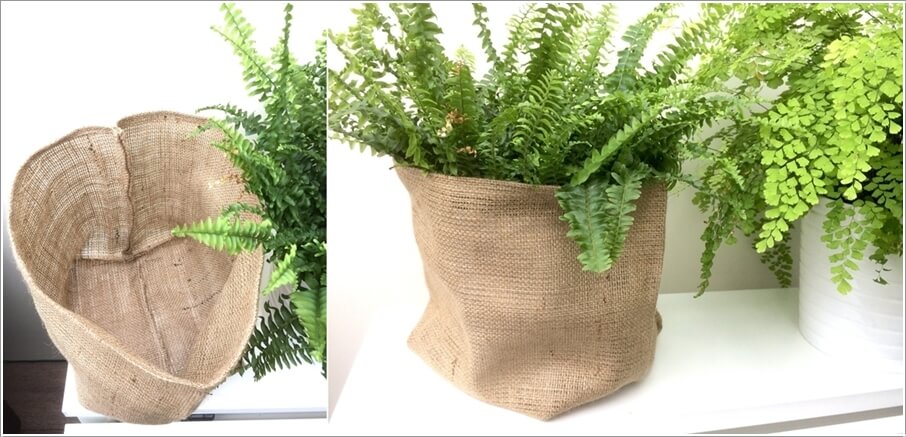 Pot Cover Ideas for Your Indoor Plants 