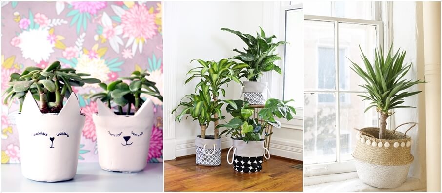 Pot Cover Ideas for Your Indoor Plants 