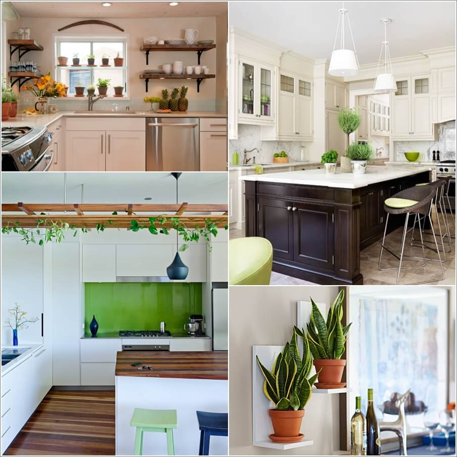 Tips for Adding Plants to a Kitchen 