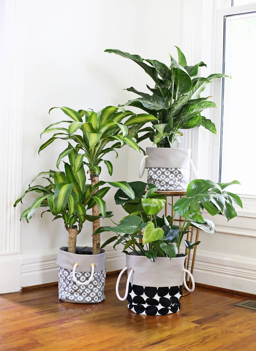 Pot Cover Ideas for Your Indoor Plants