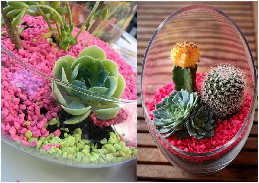 Tabletop Gardens 