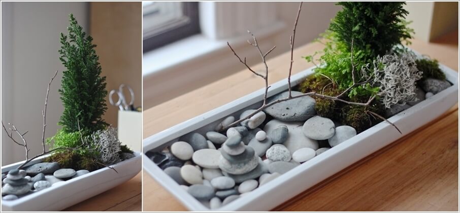 Tabletop Gardens 