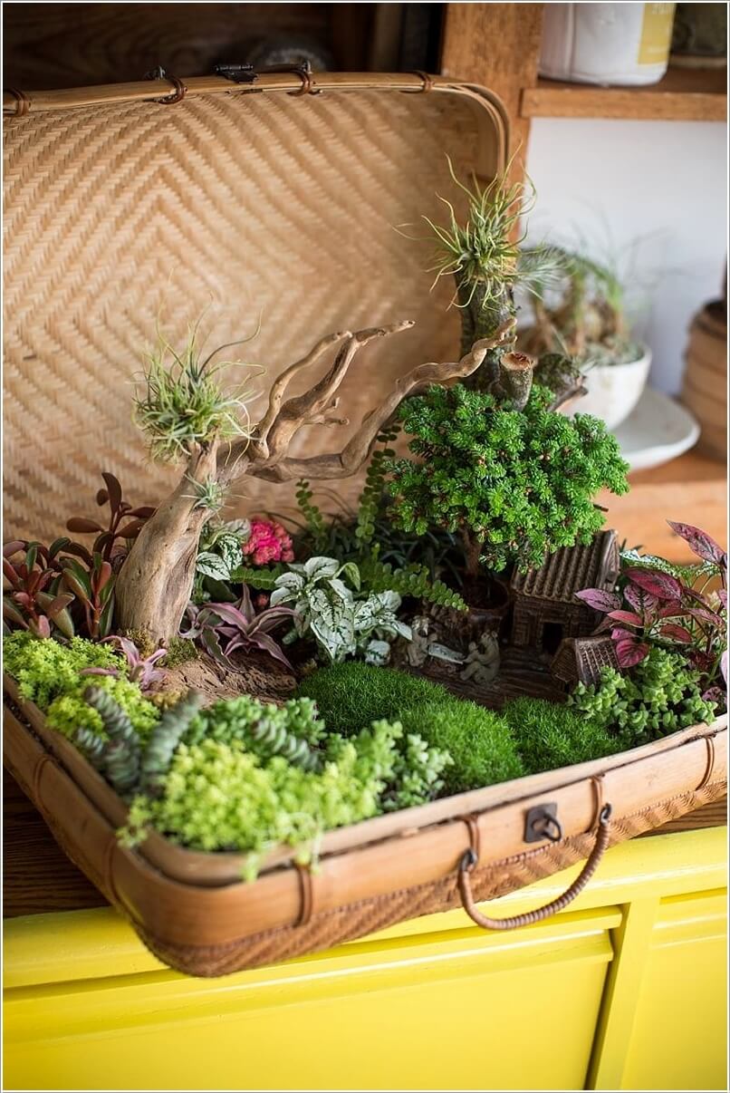 Tabletop Gardens 