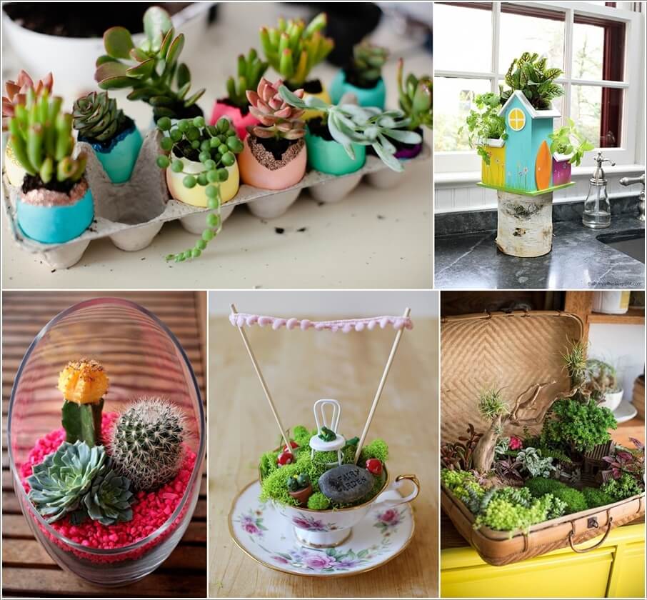 Tabletop Gardens 