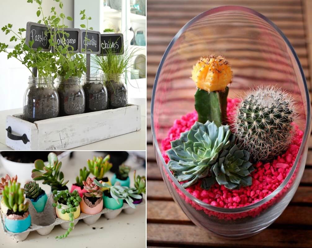 10 Beautiful Tabletop Gardens