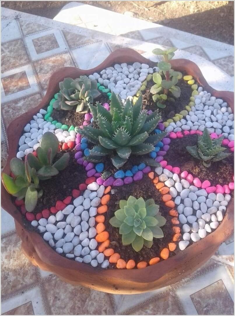 Succulent Garden Ideas 