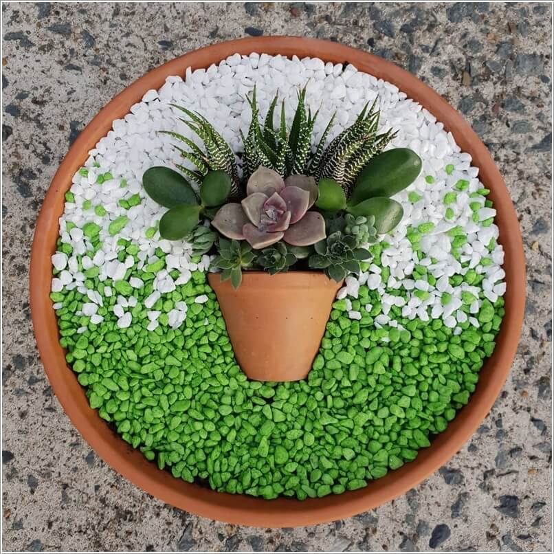 Succulent Garden Ideas 