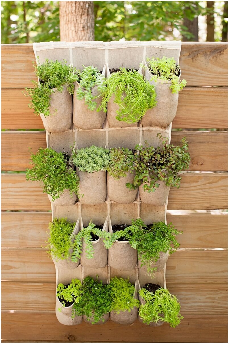 vertical garden 