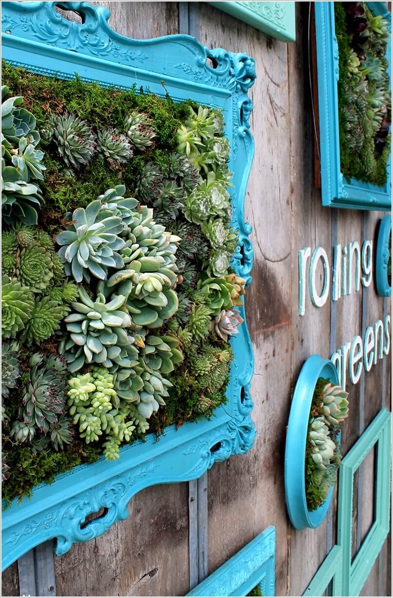 vertical garden 