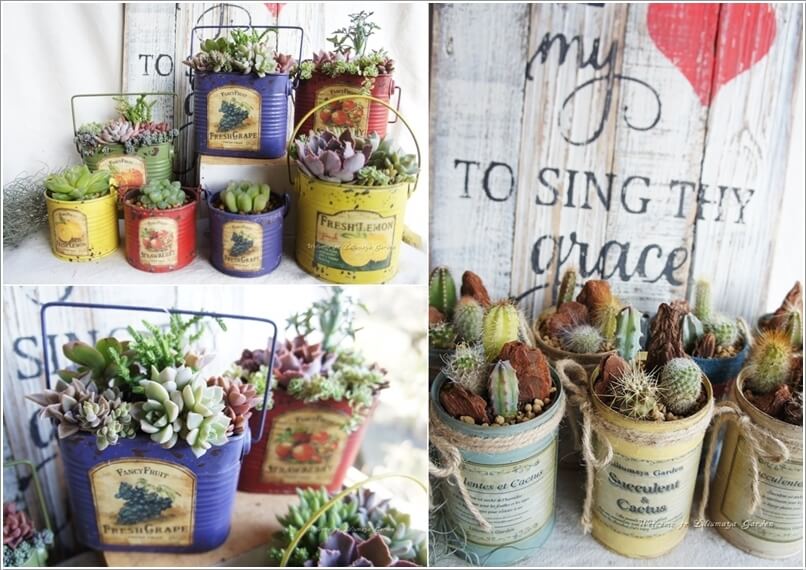 Succulent Garden Ideas 