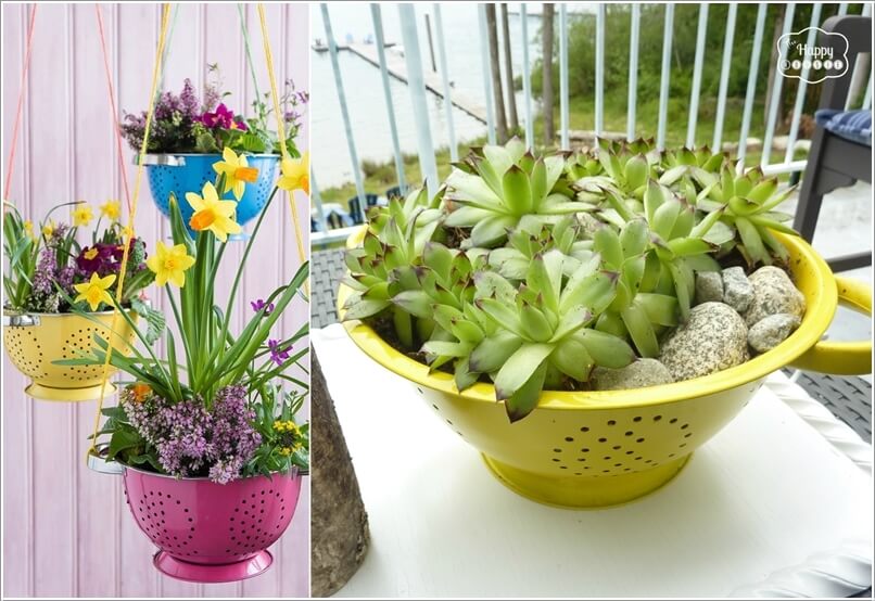 Succulent Garden Ideas 