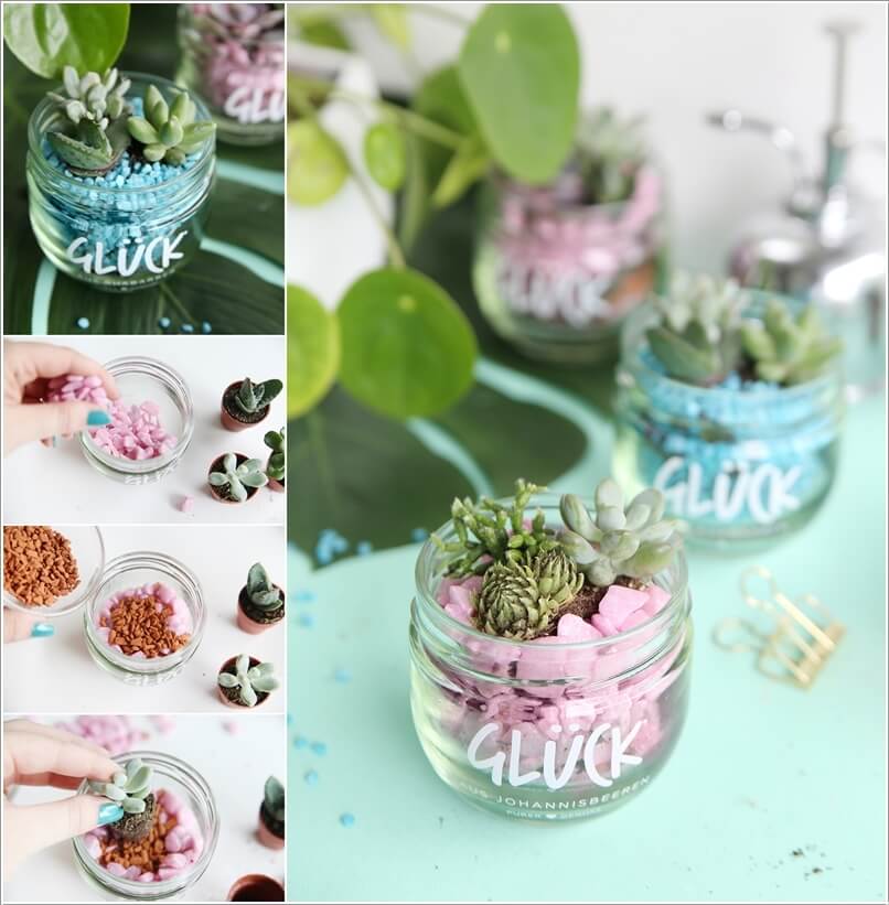 Succulent Garden Ideas 