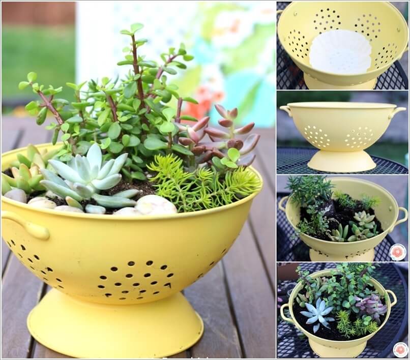 spring planters 