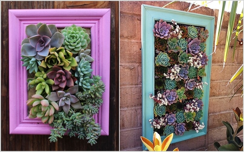 Succulent Garden Ideas 