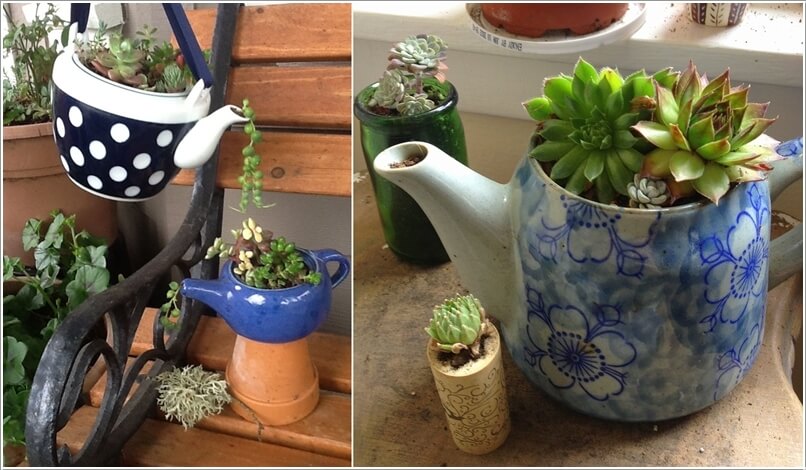 Succulent Garden Ideas 