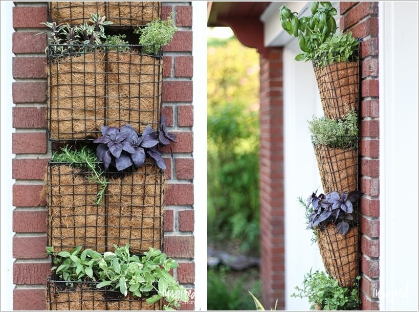 vertical garden 