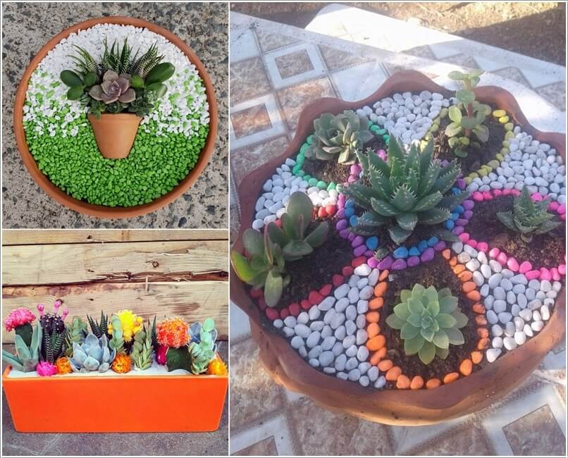 Succulent Garden Ideas 