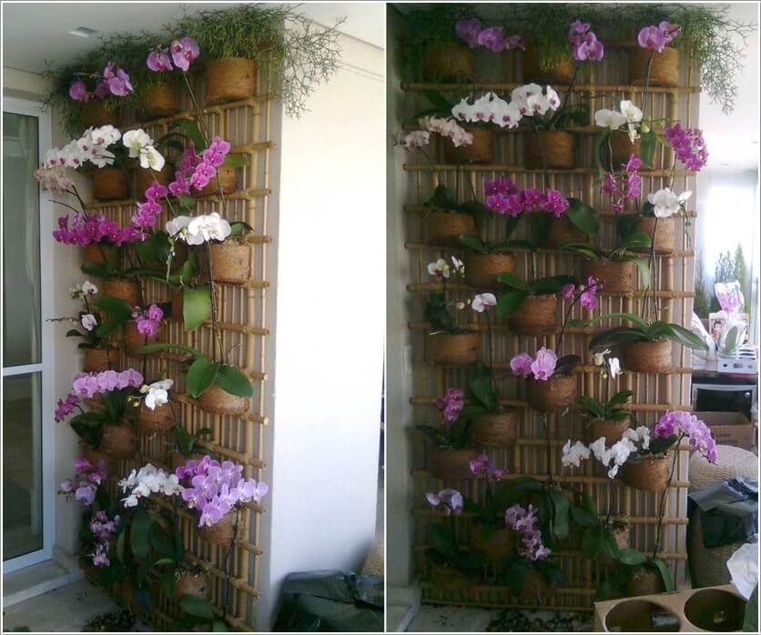 Ideas to Design a Vertical Garden 